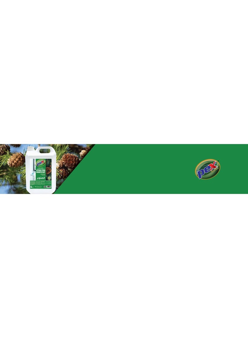 بيكس باين مطهّر برائحة الحمضيات - Image 2